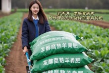 解决过度施肥造成的花卉问题（如何正确施肥保持花卉的健康生长）