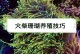 植物姬珊瑚的养殖方法与注意事项（打造室内热带海洋的绝佳选择——植物姬珊瑚）