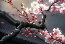 何种花代表放弃的爱？（探寻花语中的失落与坚强）