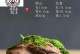 花盆下的洞（创新、方便、环保——解析花盆下洞的水培封装技巧）