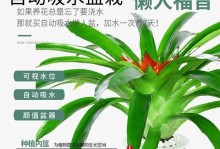 以红运当头水培怎么养殖（打造红运连连的水培养殖技巧与经验分享）