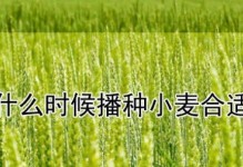 八棱瓜的播种时间和技巧（如何选种、准备土壤、保证生长、收获丰收？）