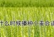 八棱瓜的播种时间和技巧（如何选种、准备土壤、保证生长、收获丰收？）