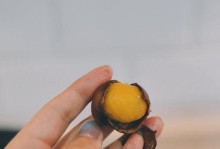 栗子的最佳保存方法（怎样保存栗子才能让它们保持新鲜？）