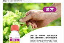 松树介壳虫防治方法（药物防治及使用技巧）