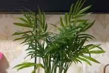 富贵椰子的花开如意（探讨富贵椰子开花的好处和技巧）