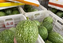 葫芦的性质与分类（草本还是木本？解开葫芦的神秘面纱）
