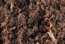 草炭土，一种特殊的土壤（了解草炭土的成分及作用，为科学种植提供支持）