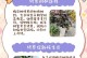 全面管理皮树（皮树管理的关键技巧和实用建议）