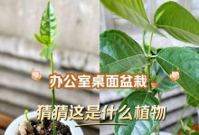 菠萝蜜不结果的原因及解决方法（菠萝蜜不结果的危害、如何预防和处理、种植技巧分享）