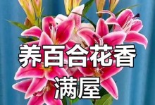 家居花卉养护宝典（打造室内花园，让家更有生机）