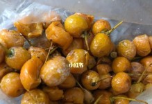 银杏种子的营养和吃法（丰富的营养成分和多种食用方式，让你健康又美味）