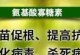 探析寡糖素在植物中的作用（探究寡糖素的生理功能和应用前景）