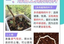 多肉叶片快速出芽的秘诀（探索多肉植物叶片出芽的关键方法与技巧）