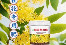 如何给桂花树施肥？（选择最佳肥料为桂花树增添芬芳）