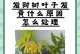 发财竹花的养殖技巧（打造繁茂的发财竹花丛林）