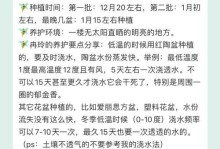 郁金香的生长和繁殖（揭秘郁金香的生命密码）