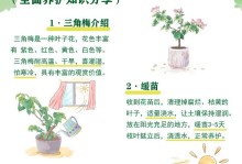 三角梅在太阳下的美丽表现（阳光照耀下的三角梅花园，绚丽如梦）
