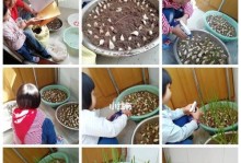 东北大蒜的收获季节（探秘东北大蒜的收获时间，一探究竟！）