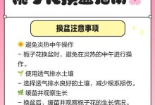 如何应对栀子花冬季养护？（冬季栀子花保养的关键技巧）