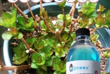 探究花草营养液的正确使用方法（提升花草生长的关键技巧与注意事项）