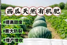 西瓜的种植时间和技巧（在什么时候和如何种植西瓜？种植注意事项详解）
