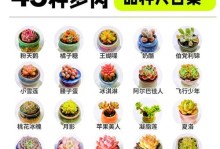 以少将多肉分株，让你的多肉植物繁衍生息（简单方法教你如何正确分株养护多肉植物）