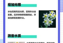 水仙叶子卷曲的原因及解决方法（水仙叶子卷曲怎么办？原因分析与应对措施）