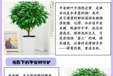 树木叶片发黄的原因及处理方法（了解叶片发黄的原因，采取正确的处理措施来拯救植物健康）