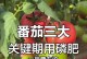磷酸二氢钾浇西红柿的正确方法（科学家指出，正确使用磷酸二氢钾可大幅提高西红柿产量）