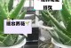 过期奶也能“活”——浇花利用之道（解决废奶难题，为花儿保驾护航）