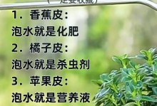 自己动手，轻松制作种花肥料（环保、经济、绿色，让花儿开得更美）