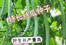 丝瓜种子的营养与食用方法（探讨丝瓜种子的营养价值与健康效益）