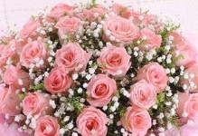 15朵玫瑰的花语（深入了解不同玫瑰数量所代表的情感）