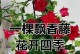 飘香藤花为何频繁掉叶？（解析飘香藤花掉叶的原因及应对方法）