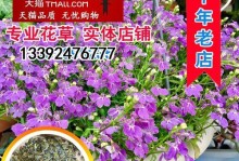 孔雀兰的养殖方法与注意事项（打造美丽家园，学习如何正确地养护孔雀兰）