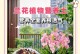 兰花水培与土培的比较（探究兰花生长的最佳方式）