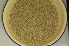 凉白开水能否浇花？（探讨凉白开水的营养价值与浇花效果）