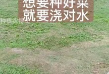 浇花的正确方法（用水的技巧让花儿茁壮成长）