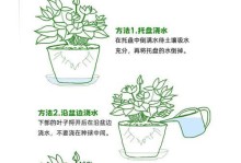 如何养护仙丹花，让它在花谢后依然绽放（仙丹花的养护技巧及注意事项）