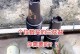 冬季兰花盆的保温方法（保证兰花盆温暖如春的关键技巧）