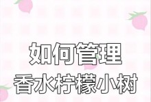 柠檬树修剪技巧（打造健康的柠檬树枝叶，让果实更鲜美）