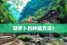 胡萝卜耐寒温度研究（寒冷环境对胡萝卜生长的影响及应对措施）