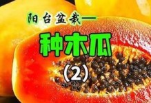 种植木瓜的最佳月份（探讨木瓜种植的季节与时间）