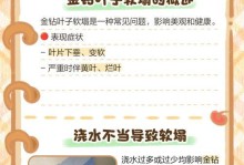 金钻的叶子折断了，怎么办？（修复金钻叶子的有效方法）