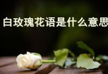 解析36朵玫瑰的花语（探寻玫瑰花的神秘语言，解读36朵玫瑰的花语）