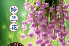 种球花卉的繁殖技巧与方法（掌握种球繁殖，让花园充满生机）