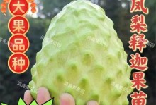释迦果开花的奇迹（探秘释迦果的神奇之处）