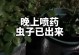 白色小飞虫如何处理（有效应对白色小飞虫侵扰）
