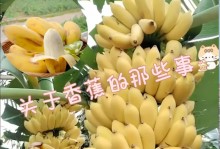 香蕉的样子和特点（探究香蕉的外貌和独特之处）